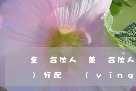全職合伙人與兼職合伙人，在股權(quán)分配時應(yīng)注意那幾點要素？
